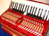 Parrot 41 120 red accordion